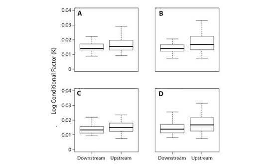 Condition factor logarithm (K) between seasons and sexes at sites upstream and downstream from the Boa Esperança Dam, Parnaíba River, Piauí State, Brazil. a) Female Rainy Season, b) Female Dry Season, c) Male Rainy Season and d) Male Dry Season.