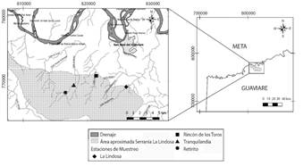 Serran&iacute;a de La Lindosa (San Jos&eacute; De Guaviare, Colombia). Ubicaci&oacute;n de los cuatro arroyos estudiados.
