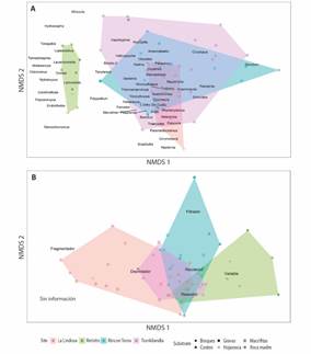 (A) Ordenaci&oacute;n (NMDS) de las muestras de acuerdo a la composici&oacute;n de g&eacute;neros de la comunidad de macroinvertebrados acu&aacute;ticos. Distancia: Morisita-Horn. Estr&eacute;s de la ordenaci&oacute;n: 0.19. Ajuste no m&eacute;trico, R2 = 0.968. (B) Ordenaci&oacute;n (NMDS) de las muestras de acuerdo a la clasificaci&oacute;n en FFG de la comunidad de artr&oacute;podos acu&aacute;ticos. Estr&eacute;s de la ordeaci&oacute;n: 0.13. Ajuste no m&eacute;trico, R2 = 0.984.
