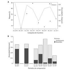 Cambios temporales de la comunidad de macroinvertebrados en el ca&ntilde;o Tranquilandia en t&eacute;rminos de la diversidad alfa por campa&ntilde;a de muestreo (A), y de la diversidad Beta entre campa&ntilde;as (B). La diversidad Beta fue descompuesta en t&eacute;rminos de los procesos de recambio y anidamiento.