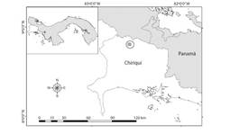 &Aacute;rea de estudio en los bosques montanos del Volc&aacute;n Bar&uacute;, Panam&aacute;.