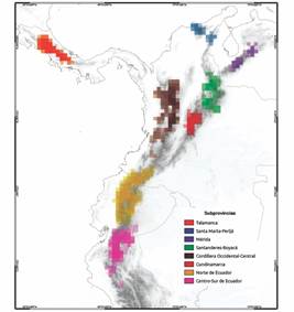 Distribuci&oacute;n geogr&aacute;fica de las &aacute;reas de endemismo (AE) en la provincia biogeogr&aacute;fica de P&aacute;ramo para el tama&ntilde;o de cuadr&iacute;cula 0.25&deg;. Consenso estricto 75 %, an&aacute;lisis de Evidencia total. La intensidad de color indica el nivel de superposici&oacute;n de las &aacute;reas consenso.