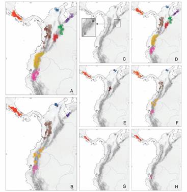 Distribuci&oacute;n geogr&aacute;fica de &aacute;reas de endemismo por partici&oacute;n (tama&ntilde;o de cuadr&iacute;cula 0.25&deg;, consenso estricto 75 %): (A) Plantas-Total, (B) Animales-Total, (C) Marchantiophyta, (D) Spermatophyta, (E) Aves, (F) Amphibia, (G) Mammalia, (H) Reptilia. Los colores indican cada una de las subprovincias seg&uacute;n la Fig. 1. La intensidad de color no representa el nivel de superposici&oacute;n de las &aacute;reas consenso, y el color del borde no representa los l&iacute;mites de las &aacute;reas.