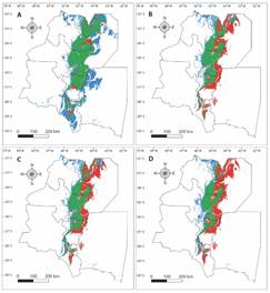 Effect of climate change on A. colubrina future distribution, A. scenario CC2.6, B. scenario CC4.5, C. scenario CC6.0 and D. scenario CC8.5. Green: stable areas, red: retraction areas, and blue: expansion areas.