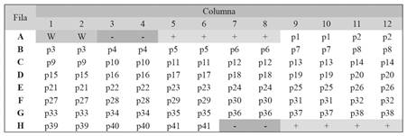 Ejemplo de la distribuci&oacute;n de los sueros en las placas. W = blanco, - = control negativo, + = control positivo, pi = muestra de la persona i. 