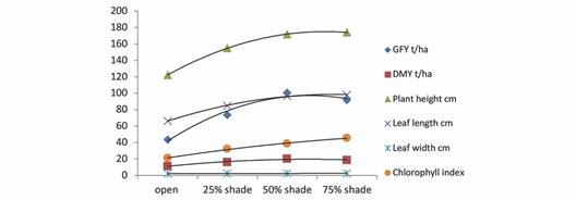 Yield and yield attributes of guinea grass grown under open and shaded conditions. (Lines connecting the data point are quadratic trend lines). 