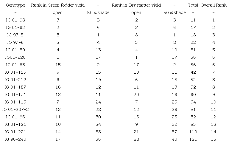 Top ranking genotypes based on their rank in green and dry matter yield in 50 % shade and open condition. 
