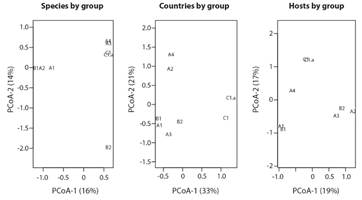 Principal Coordinate Analysis to show the similarity (Jaccard index) between the groups of the phylogenetic tree based on their viral species list, list of countries of occurrence and host species. The Codes of the groups are explained in the Phylogenetic analysis based on L1 and L2 gene sequences section.