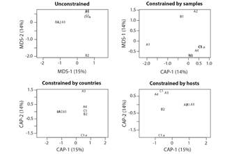Distance-based redundancy analysis (dbRDA) of the groups of the phylogenetic tree based on their viral species list (Unconstrained analysis), controlled (Constrained analysis) by the number of samples by group, countries list of occurrences of each group, and list of hosts affected by each group.