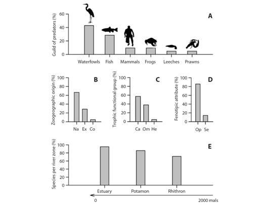 Percentage of occurrence of predators of Cryphiops caementarius grouped by A. guilds, B. zoogeographic origin (Na = native, Ex = exotic, Co = cosmopolitan), C. trophic functional group (Ca = carnivore, Om = omnivore, He = herbivore), D. phenotypic attribute (Op = opportunist, Se = selective) and E. river zones (mals; meter above level sea).