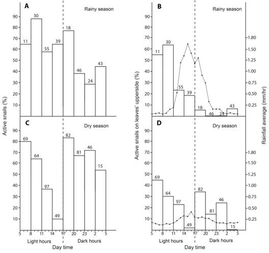 Activity of T. costarricanus according to season and daytime. A. and B. Active snail percentage in any part of the leaf. C. and D. Active snails&rsquo; percentage on the upper side of leaves. Numbers above bars are the sample size for a given time category. There are no variation bars because these are total numbers.