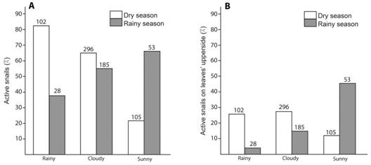 Activity of T. costarricanus according to season and weather. A. Active snails without considering the place in which specimens were. B. Active snails on the upper side of leaves. Numbers above bars are sample size. There are no variation bars because these are total numbers.