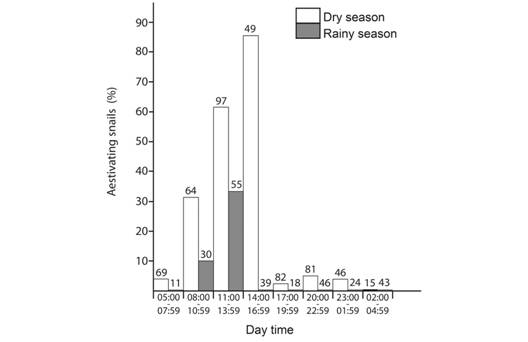 Bat-like aestivating T. costarricanus according to season. Numbers above bars are sample size. There are no variation bars because these are total numbers.