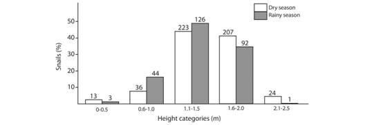 Vertical distribution of T. costarricanus according to season and height category. Dry season sample size = 503. Rainy season sample size = 266. Numbers above bars are sample size. There are no variation bars because these are total numbers.