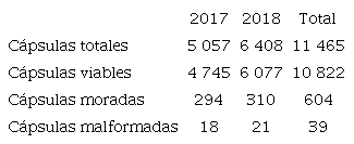 Cápsulas viables y no viables (moradas y malformadas) en las masas ovígeras de Hexaplex nigritus