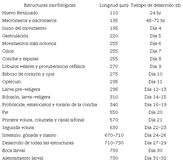  Longitud (µm) y tiempo de desarrollo de las estructuras morfológicas de las etapas de embrión intracapsular lecitotrófico y larva planctónica de Hexaplex nigritus en laboratorio