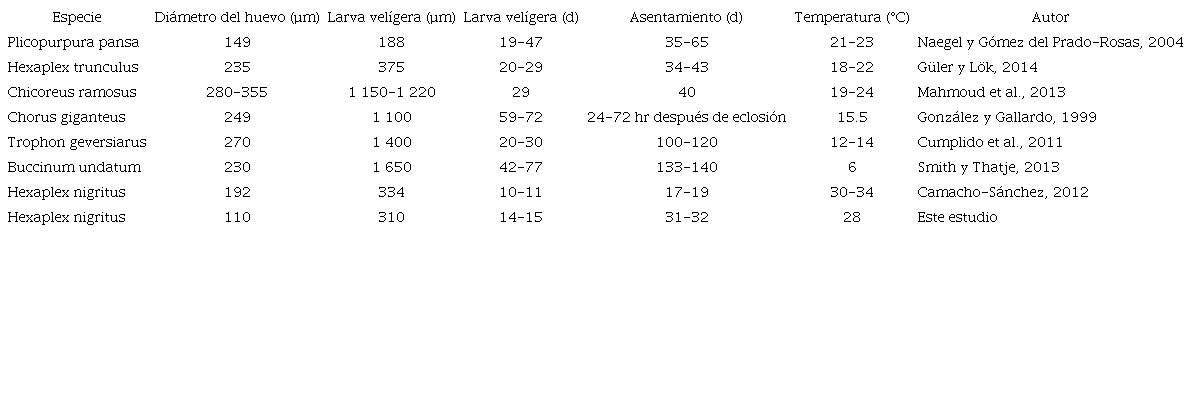 Parámetros de desarrollo embrionario intracapsular y larval de especies de murícidos