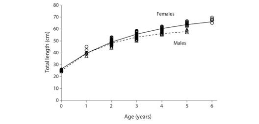 Growth curves (VBGF) for male and female Mustelus higmani from the Northeastern region of Venezuela.
