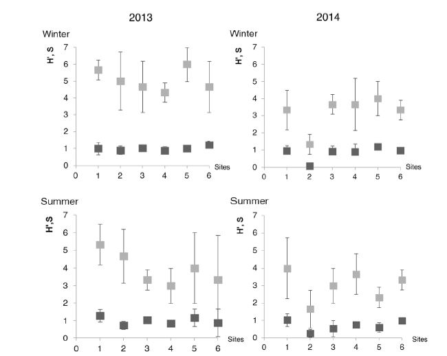 Shannon&acute;s diversity index (H&rsquo;) and species richness (S) of Glomeromycota over the study period (2013- 2014) and in the two seasons (winter-summer). Site 1 (Y28); Site 2 (Y24); Site 3 (CU); Site 4 (CN); Site 5 (L49) and Site 6 (NAT). (Species richness; Shannon&acute;s diversity index). The data correspond to the mean of three replicates.