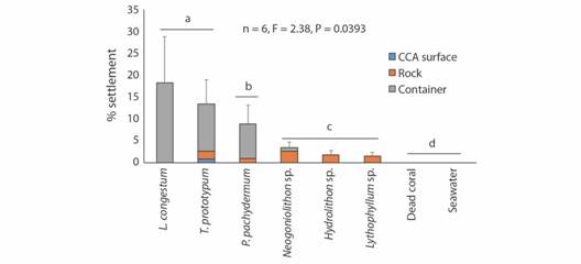Larval settlement patterns of Orbicella faveolata in response to different crustose coralline algal species. Bars represent mean for each treatment and error bars are standard deviation. Letters above the bars indicate signiﬁcant groupings.