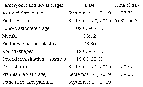 Timing for embryogenesis and larval development of Orbicella faveolata in laboratory conditions (2019)