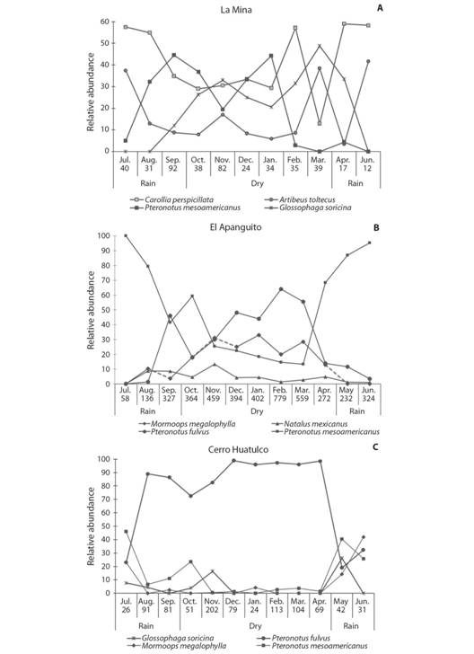 Variation of relative abundance of seven bat species in three roosts found on the Costa Region of Oaxaca, Mexico. X-axis numbers indicate the monthly captures.
