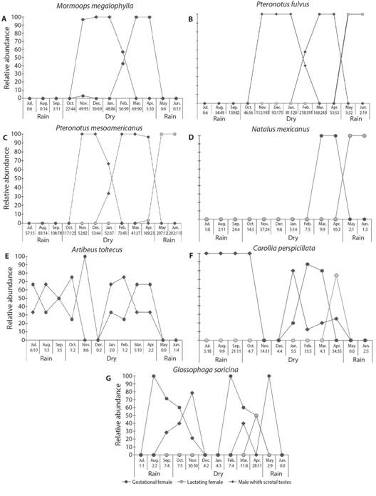 Reproductive patterns of seven bat species, Costa Region of Oaxaca, Mexico. Patterns represent the data of three roosts combined. X-axis numbers indicate the ratio of adult females to adult males in the monthly captures.