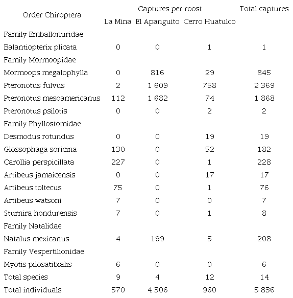 Taxonomic list and abundances of the species captured in the three studied roosts