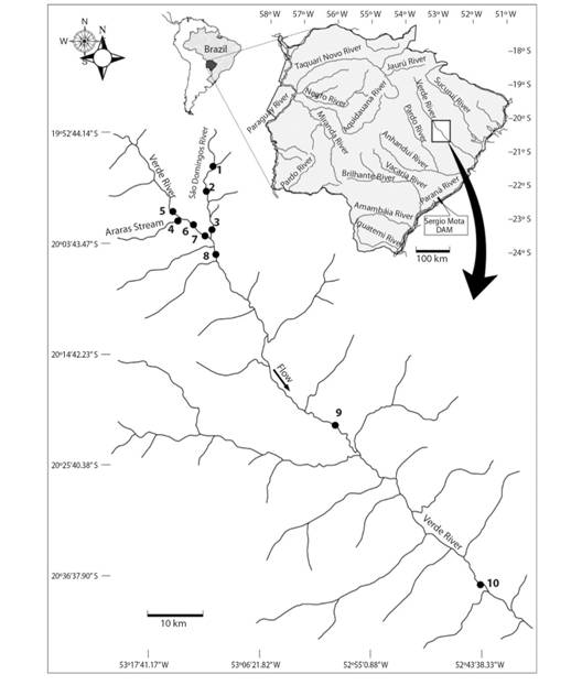 Location of sampling sites in the Verde River, upper Paran&aacute; River Basin, state of Mato Grosso do Sul, Brazil. Sampling was performed in ten sites along the Verde River Basin.