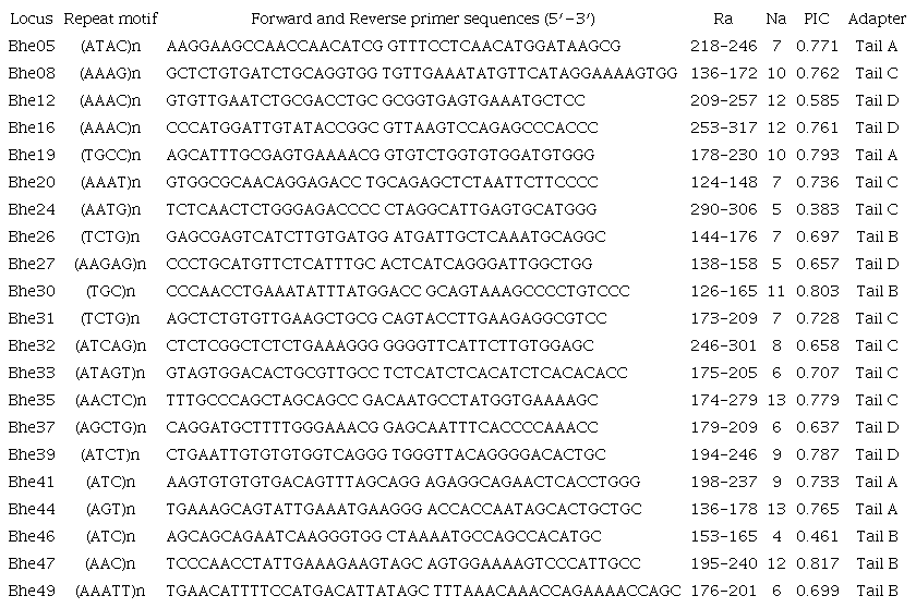 Primer sequences and characteristics of 21 microsatellite loci developed for Brycon henni