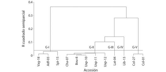 Dendrograma de 12 accesiones (taxa) de Heliconia en funci&oacute;n de diez caracteres morfol&oacute;gicas de polen (R2 = 0.05).