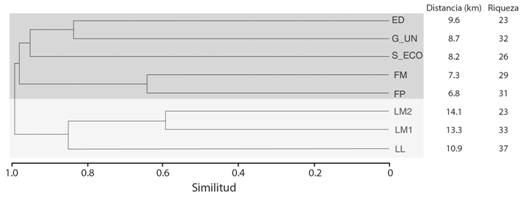 Dendrograma de similitud usando el &iacute;ndice de complementariedad entre las ubicaciones de muestreo de hormigas en la sabana inundable del municipio de Arauca. El rect&aacute;ngulo inferior delimita el grupo formado por tres localidades. El segundo grupo formado por cinco localidades. Detalle de los acr&oacute;nimos Tabla 1. Los valores a la derecha del dendrograma indican la distancia en kil&oacute;metros al centro urbano del municipio de Arauca y la riqueza de especies.