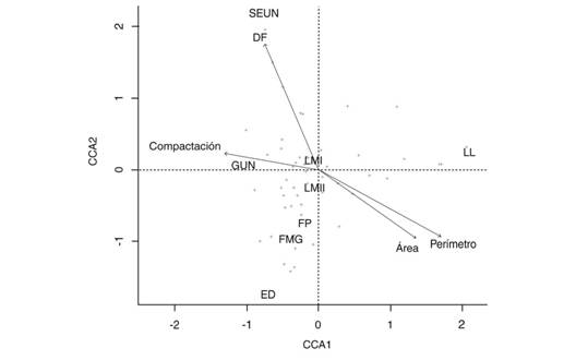 Biplot basado en el an&aacute;lisis de correspondencia can&oacute;nica de las variables del paisaje y las especies de hormigas en la sabana inundable del municipio de Arauca. Las cruces representan especies. Detalles de los acr&oacute;nimos del fragmento ver Tabla 1.