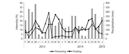 Monthly rainfall and mean intensity index of flowering and fruiting at community level from February 2013 to January 2015, in Southwestern Colombia.