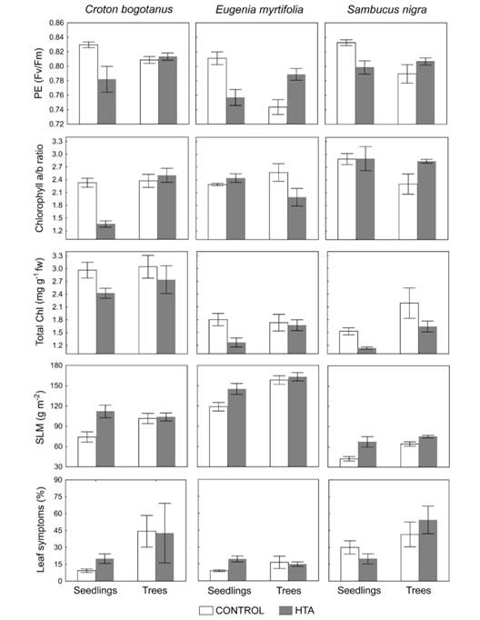 Effects of exposure to traffic on the physiology of seedlings and trees (Mean ± SD). Control: Jardín Botánico de Bogotá. HTA: High traffic avenues. 