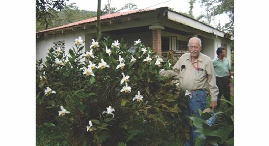 El Dr. Dressler con una enorme planta de SobraliachrysostomaDressler en Costa Rica, 2014.