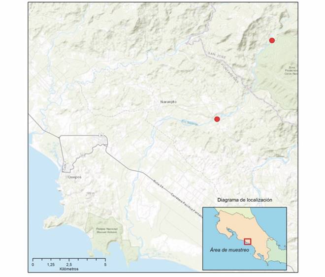 Zona de estudio, en el cauce principal del r&iacute;o Naranjo, Quepos, Costa Rica, 2017-2018.