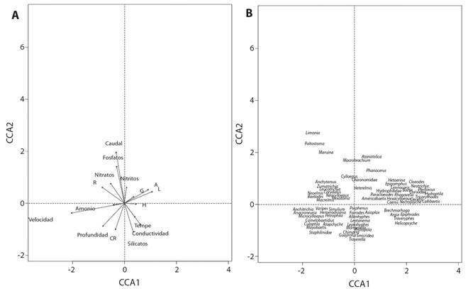 Ordenaci&oacute;n construida por el an&aacute;lisis de correspondencia can&oacute;nica para los dos sitios de muestreo, A) ordenaci&oacute;n de las variables f&iacute;sico, qu&iacute;micas e hidrol&oacute;gicas, B) ordenaci&oacute;n de los g&eacute;neros de macroinvertebrados acu&aacute;ticos, R&iacute;o Naranjo, Costa Rica, 2017-2018.