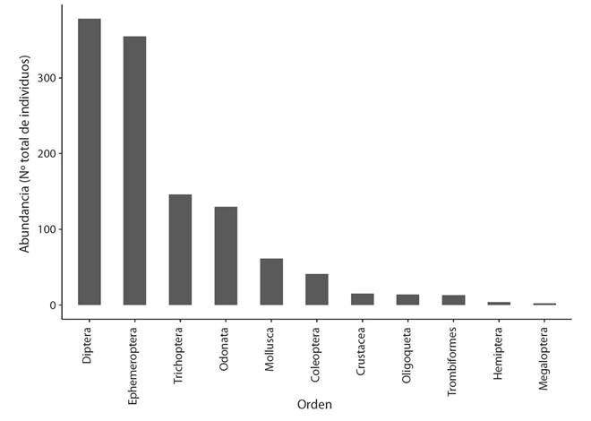 Abundancia total a nivel de orden de macroinvertebrados acu&aacute;ticos recolectados en los tres tipos de sustratos artificiales, en los cuatro sitios de muestreo en el R&iacute;o Parismina, entre los a&ntilde;os 2013 y 2017.