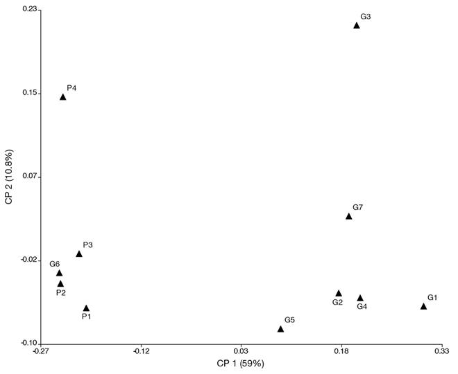 An&aacute;lisis de coordenadas principales (ACoP, &iacute;ndice Bray-Curtis) para las estaciones de muestreo seg&uacute;n la composici&oacute;n (familias y g&eacute;neros) de macroinvertebrados. P1, P2, P3, P4 (estaciones de muestreo en el arroyo de P); G1, G2, G3, G4, G5, G6, G7 (estaciones de muestreo en los arroyos de G).