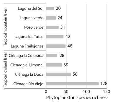 Phytoplankton species richness of the nine tropical lakes from the Northeast Colombian Andes.