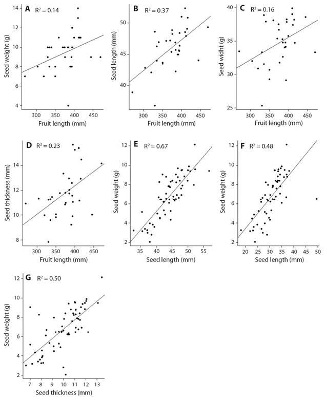 Morphometric relationships of fruits and seeds of Pentaclethra macroloba in the Amazon estuary.