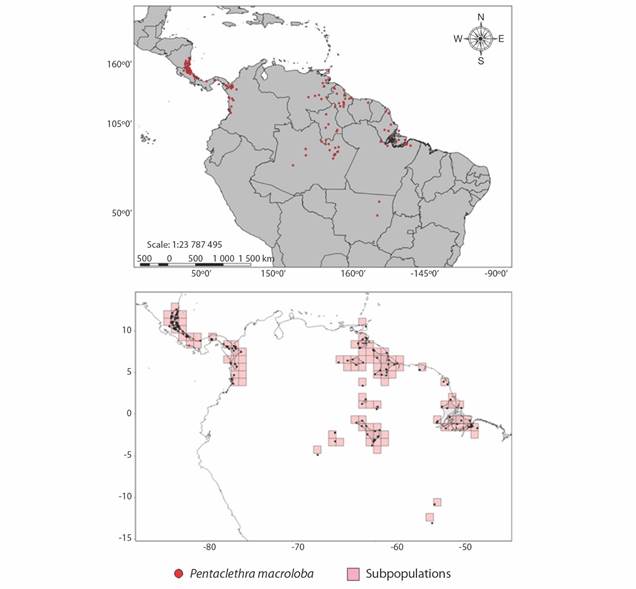 Dispersion area (above) and number of subpopulations (below) of Pentaclethra macroloba in the Neotropical region (Data source: tropicos.org and splink.cria.org.br).