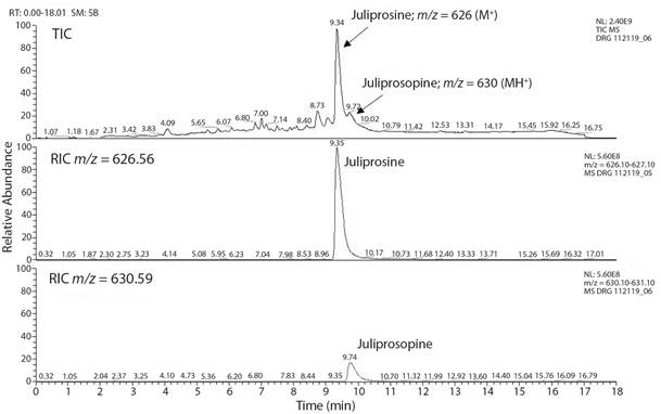 HPLC-HRMS chromatogram obtained for alkaloid enriched-extract of P. flexuosa pods.