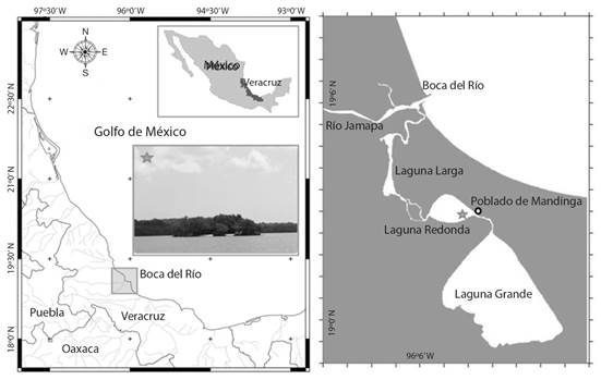 Location of the study area &ldquo;Laguna de Mandinga&rdquo; Veracruz, close up mark with a star &ldquo;El Conchal&rdquo; shell remain accumulation.