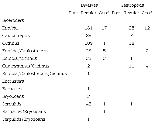 Organisms exhibiting bioerosion and encrustation according to their taphonomic degree and taxonomic group