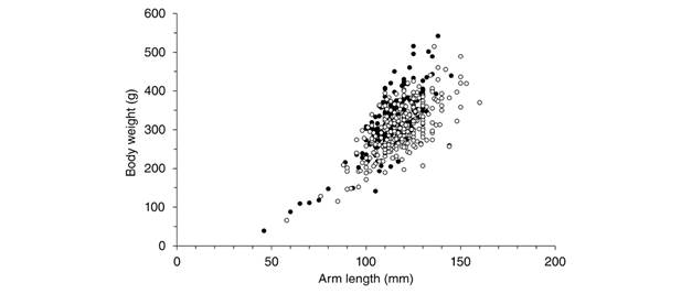 Length-weight relationships of Pentaceraster cumingi in cold (black circles) and warm (white circles) seasons.
