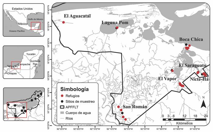 Distribuci&oacute;n de los refugios diurnos del murci&eacute;lago narig&oacute;n, Rhynchonycteris naso (c&iacute;rculos rojos) en diferentes sitios de muestreo (c&iacute;rculos negros) dentro del &Aacute;rea de Protecci&oacute;n de Flora y Fauna Laguna de T&eacute;rminos (APFFLT) en Campeche, M&eacute;xico.