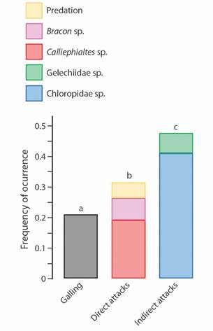 Occurrence rates of the different organism groups and processes (predation signals) found in galls of Macairea radula induced by Palaeomystella oligophaga moths. Enemies are arranged according to their guilds: &ldquo;direct attacks&rdquo; (insects that kill the galling insect by feeding on its body fluids) and &ldquo;indirect enemies&rdquo; (insects that feed on gall vegetal tissues, causing galling insect death as a secondary consequence). The letters above the bars refer to the statistical significance.