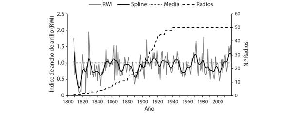 Cronolog&iacute;a de anillo total versi&oacute;n est&aacute;ndar de espec&iacute;menes de Taxodium mucronatum (Ahuehuete) muestreados en parajes del R&iacute;o Sabinas, Coahuila.